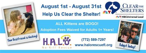 halo adoption center vero beach.